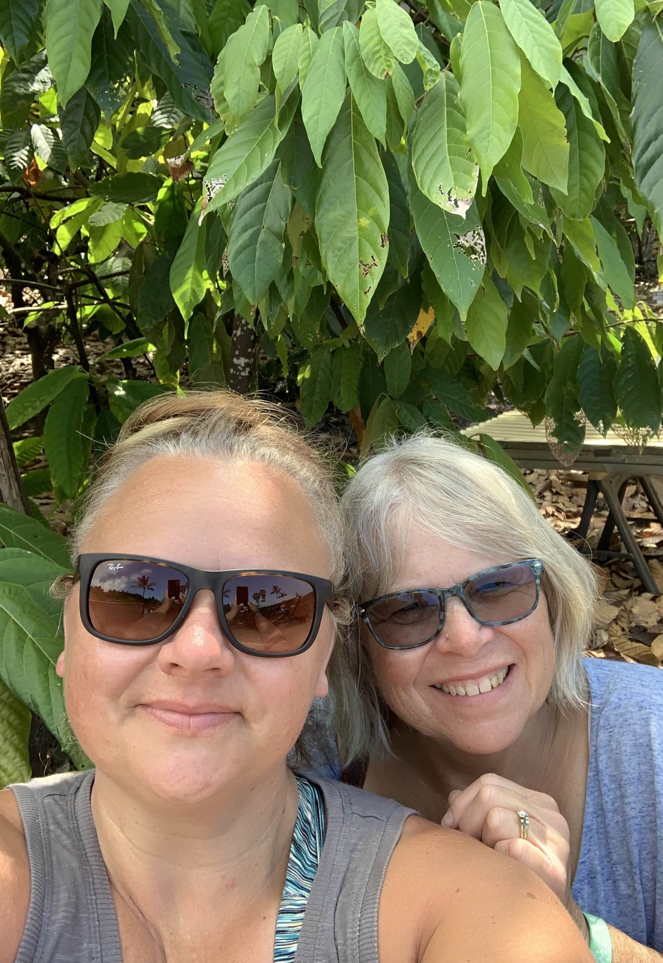 Two women wearing sunglasses standing under a tree with green leaves.