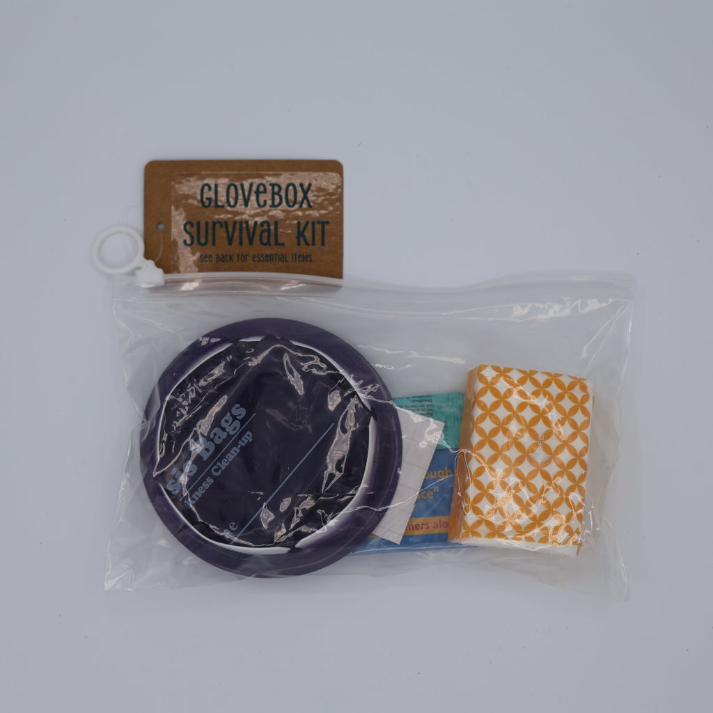 Glovebox survival kit with items in a clear plastic bag